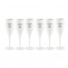 CHEERS No.1 Champagneglas 6-Pack – Champagne Is The Answer Print