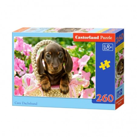 Pussel Cute Dachshund 260 bitar