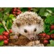 Pussel Hedgehig with Berries, 100 bitar