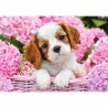 Pussel Pup in Pink Flowers 500 bitar Castorland