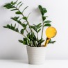 Bevattningsboll glas 28 cm gul