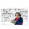 Putsduk för glasögon Ludwig van Beethoven