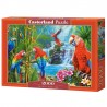 Pussel Parrot Meeting 2000 bitar
