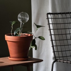 Bevattningsboll i klart glas 28 cm, bevattningslök för självbevattning